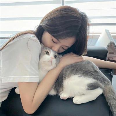 南波万的聚会第三季